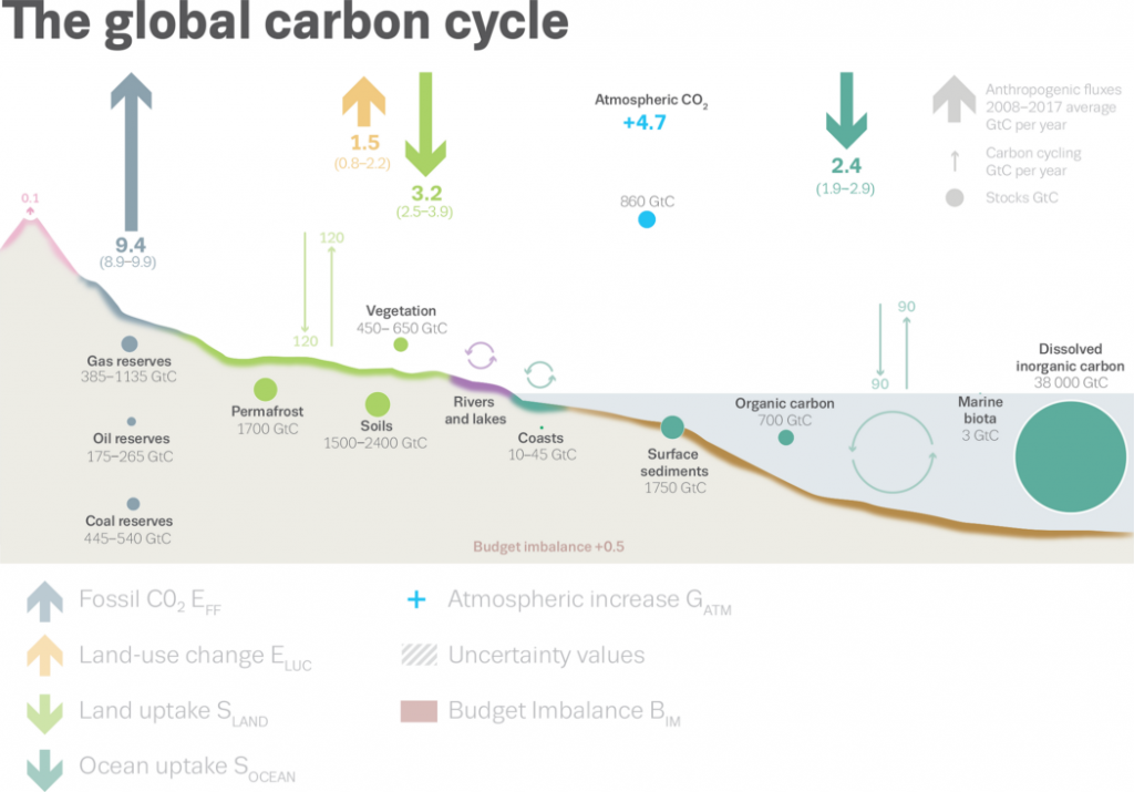 Carbon Sinks: Diagram of CO2 moving between the Earth and the atmosphere
