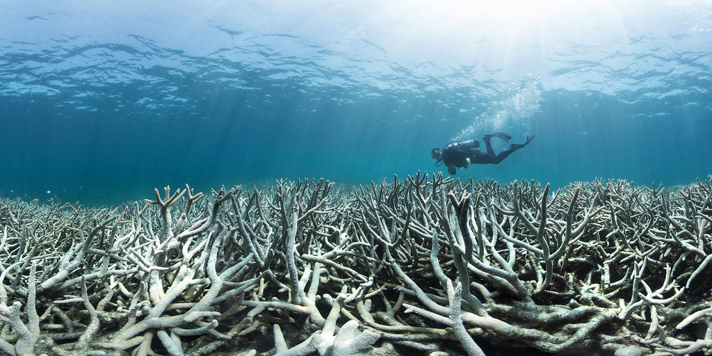 Evidence of reaching climate tipping points: Coral bleaching