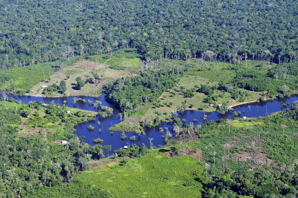 A possible climate tipping point: Deforestation in the Amazon Rainforest 