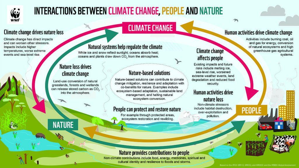 WWF Graphic illustrating the relationship between humans, nature, and climate change