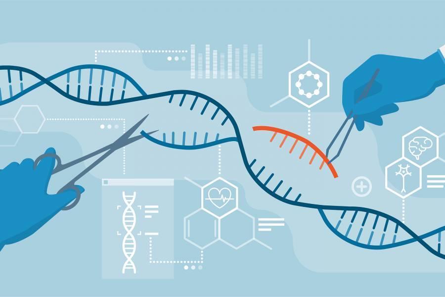 CRISPR gene editing tool