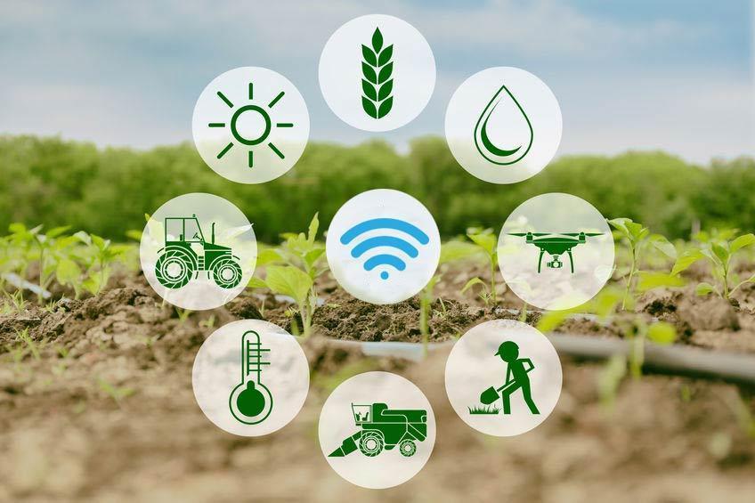 Smart agriculture, satellite imaging, remote sensing, productivity