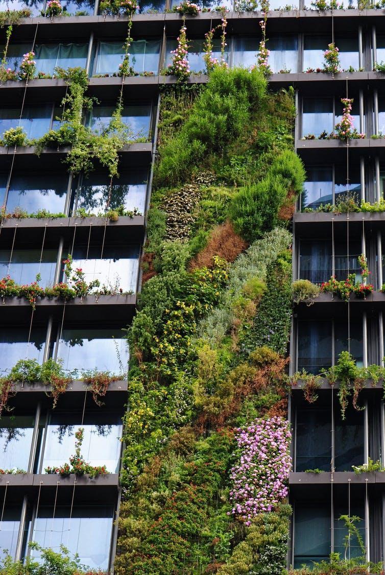 Green walls help to make a city beautiful and sustainable.