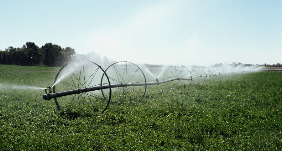 Thrive Water Theft