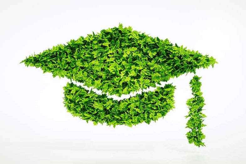 achieving a green economy