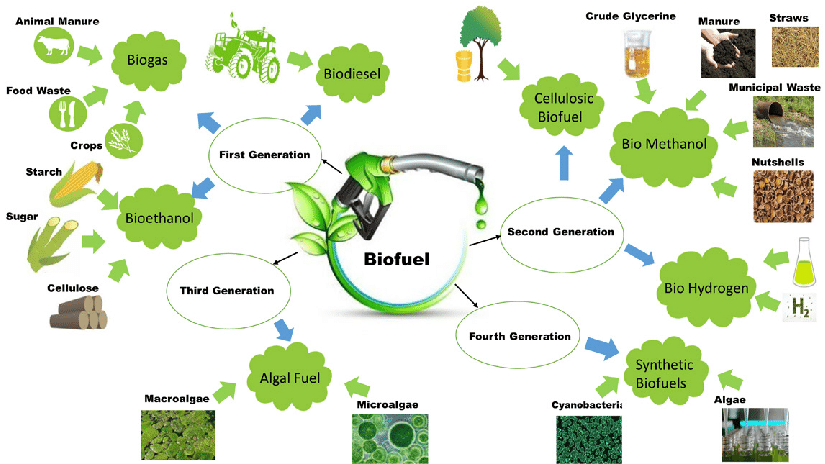 Biofuel basics: a schematic representation of the types and generation of biofuels.