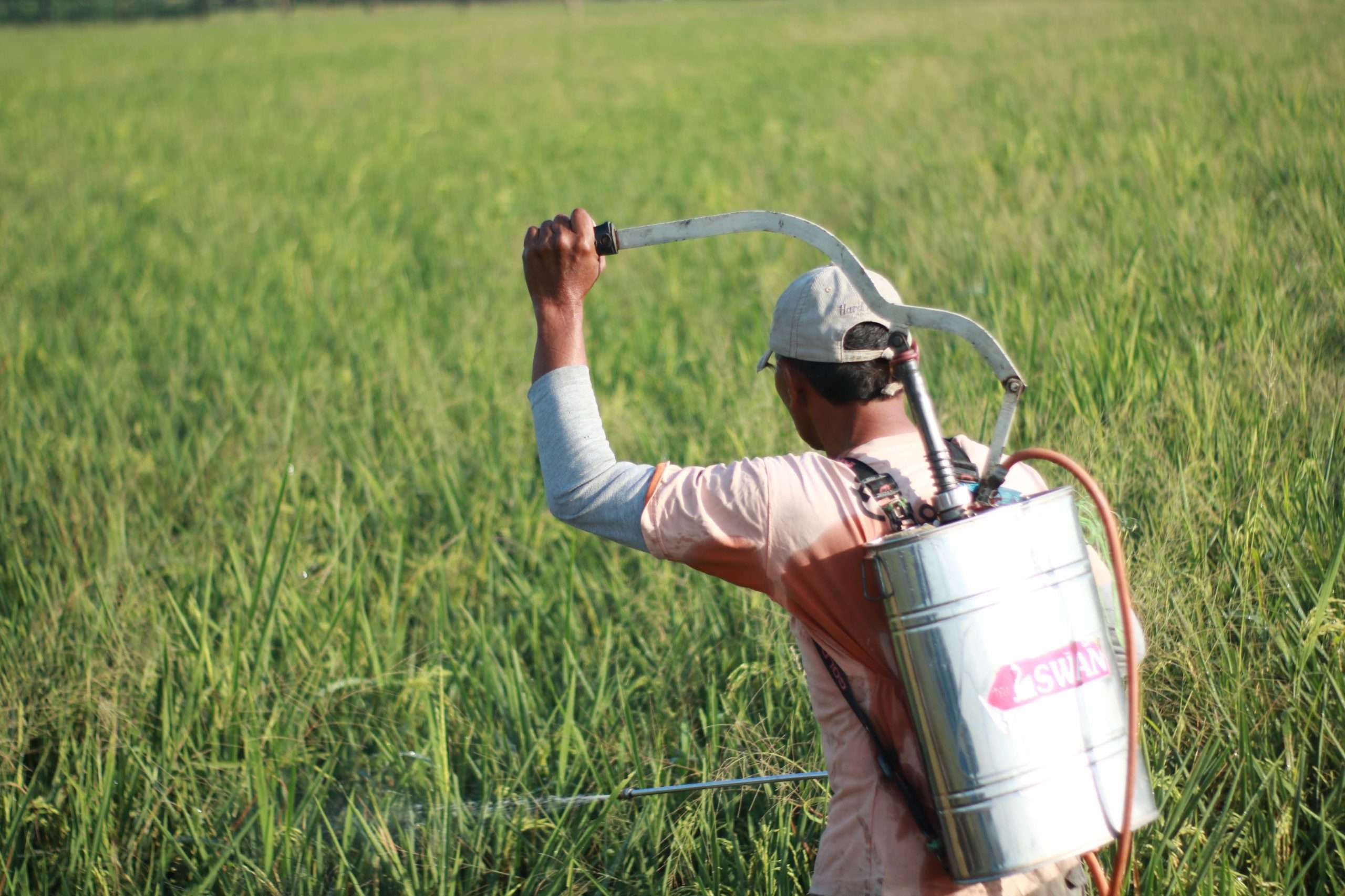 Tackling the widespread use of harmful pesticides is crucial to achieving sustainable farming.