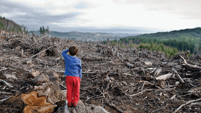cost of corruption - This image shows the environmental cost of corruption incurred through illegal logging. A small child looks out over a barren wasteland of fallen trees.