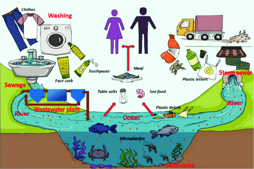 Microplastic pollution in aquatic environments and impacts on food chains : issue of microplastics