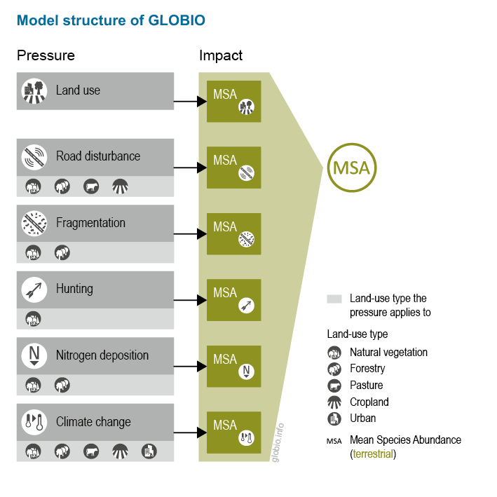 Environmental pressures considered by top-down approach GLOBIO (MSA). 