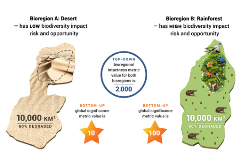 Business and biodiversity: this diagram illustrates the difference in approach for top-down and bottom-up metrics.