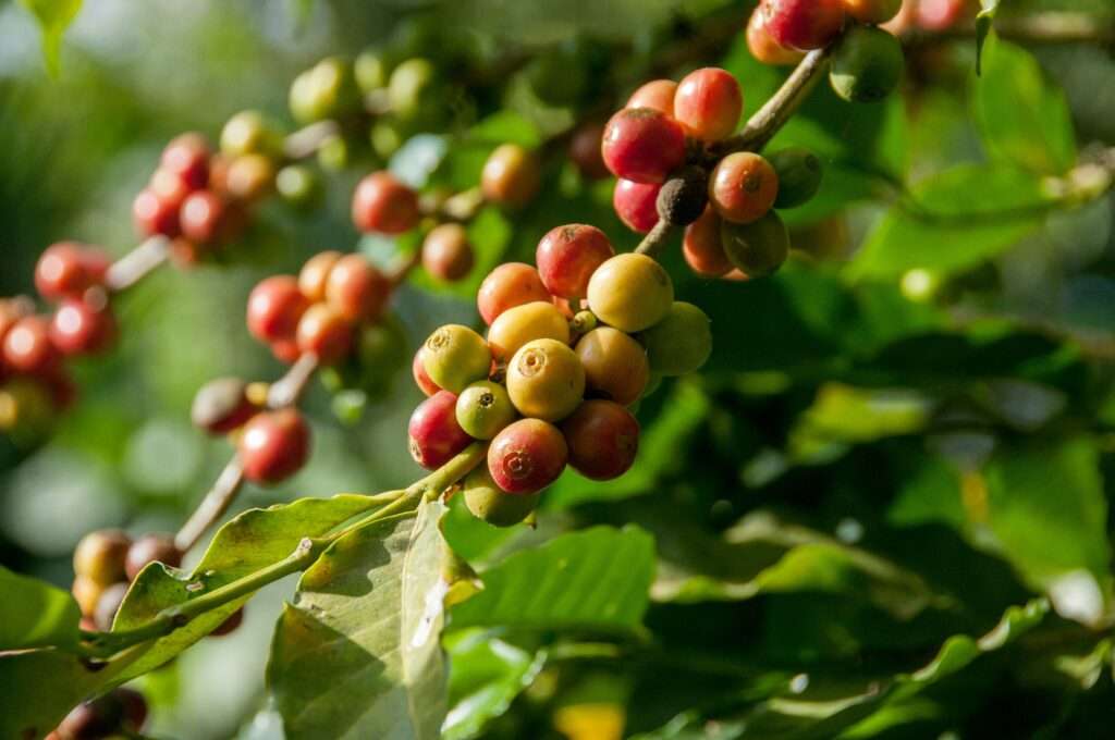 Fresh local produce embodies a sustainable lifestyle
