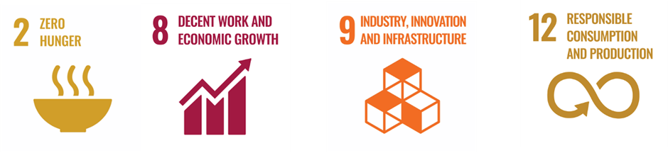 The Circular Economy Cluster conducts outreach activities that promote United Nations SDG2, SDG8, SDG9 and SDG12 