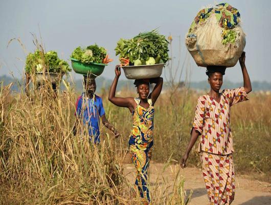 Female farmers showing their capabilities.