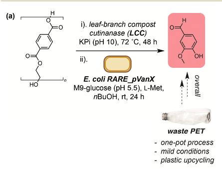 This process can transform plastic into vanillin.