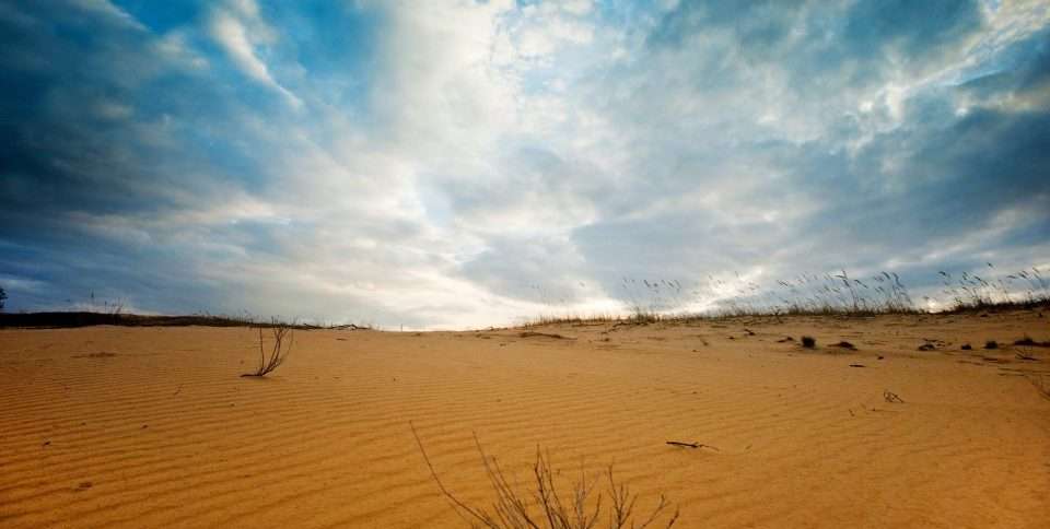 With global warming, areas experiencing water scarcity are increasing. Finding solutions for drought is now becoming critical.