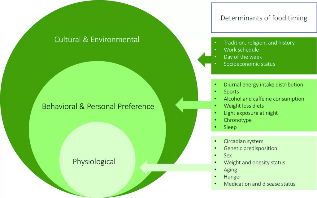 Food scheduling is influenced by several factors.