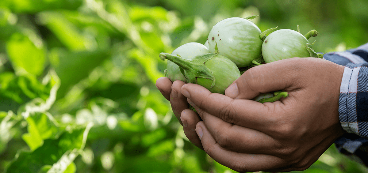 Sustainable agriculture by 2030 is the goal.