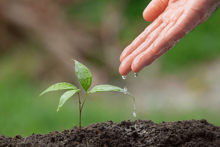 Water is essential for sustainable agriculture and food production.