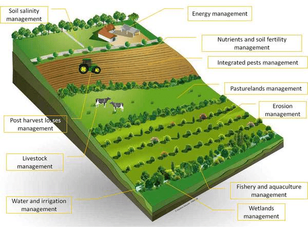 Sustainable agricultural farming.