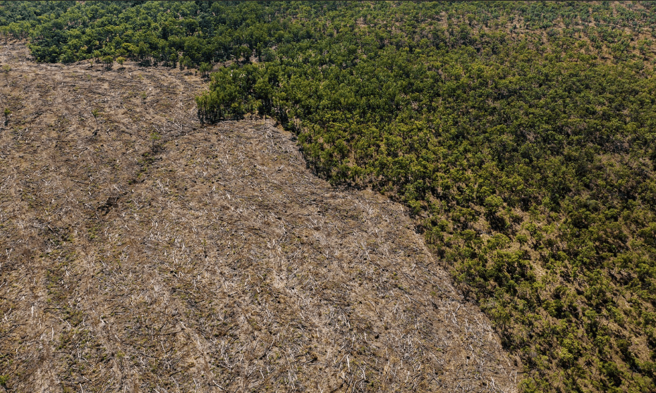 A photo showing extent of deforestation in Queensland.