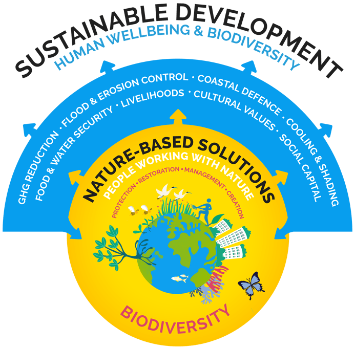 Tackling the Climate Change Crisis with Nature-Based Stormwater solutions.