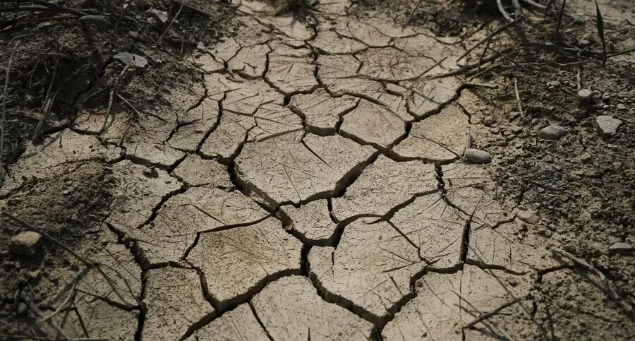 Parched, cracked earth showing severe dryness, illustrating the limits of water-saving measures without ecosystem restoration.