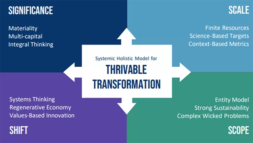 Healthcare Supply Chain Failures: THRIVE Project systemic holistic framework and model