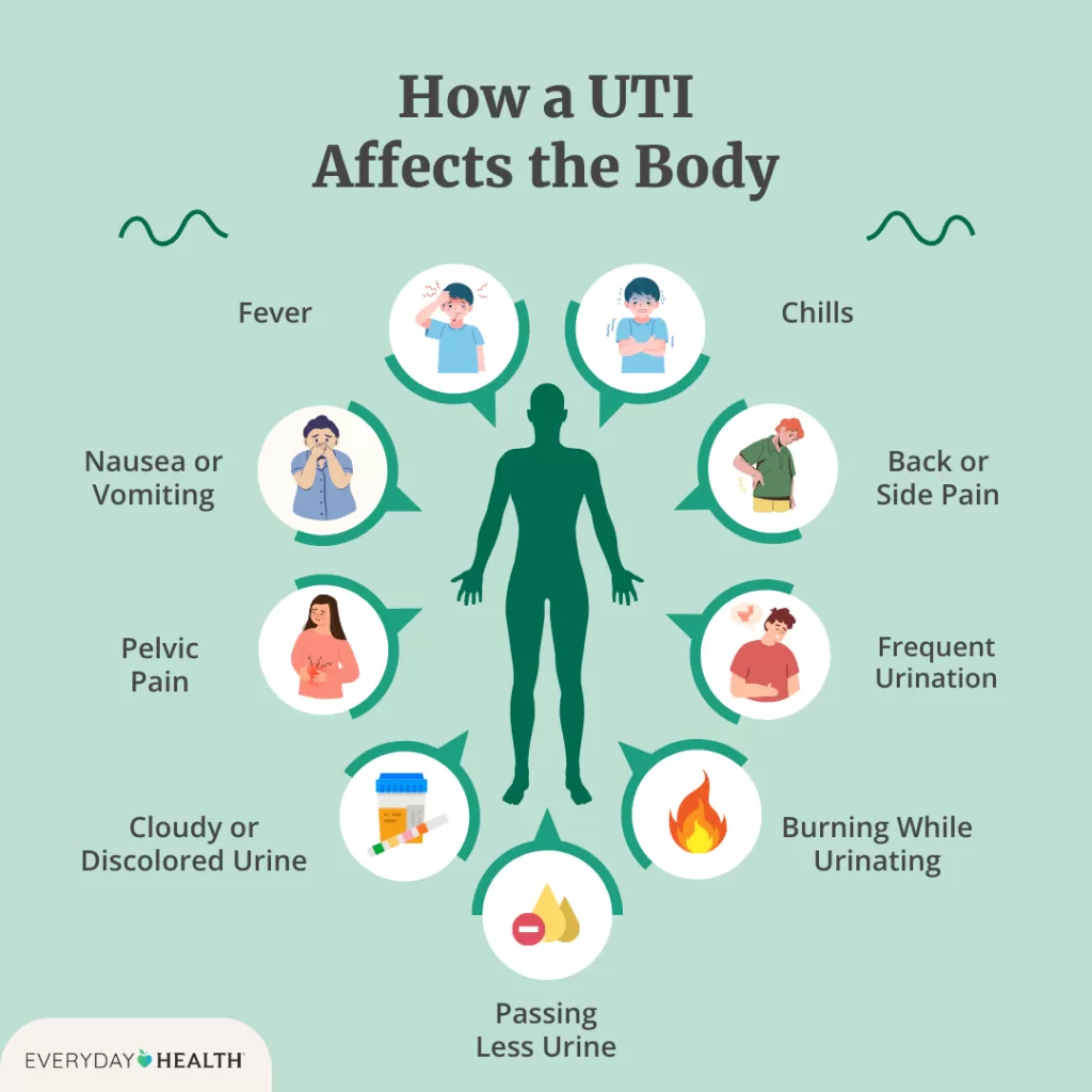 How a UTI affects the body.