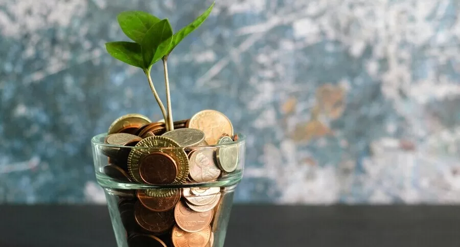 Glass cup filled with assorted coins and a green plant sprouting from the top, representing the concept of investing money in sustainable and thrivable futures.
