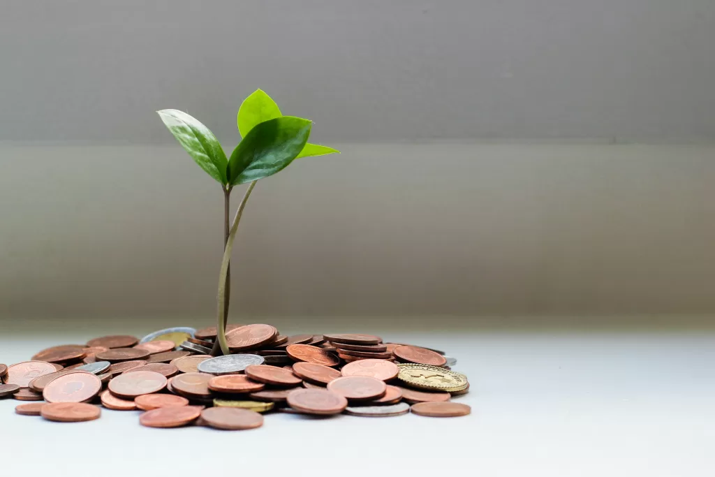 A small green plant sprouting from a pile of coins, symbolising the integration of money and natural capital in regenerative, thrivable economies.