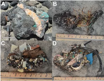 human extinction: plasticglomerates showing pieces of plastic fused with different natural materials.