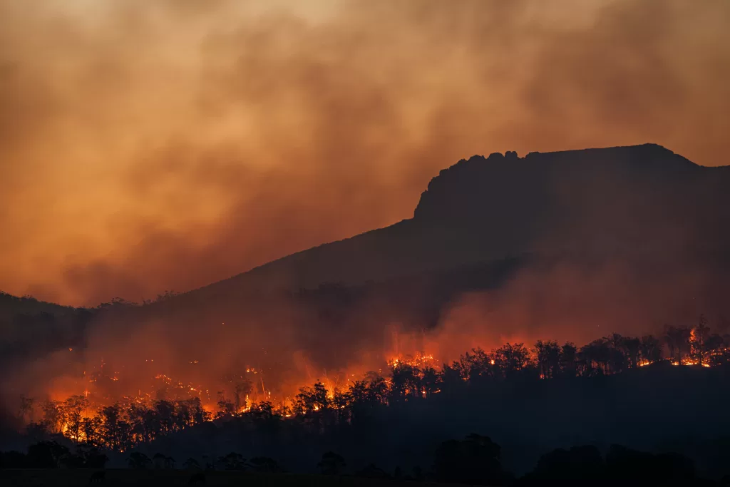 Wildfire burning through a forested hillside with heavy smoke and a mountain silhouette in the background, illustrating the urgent need for climate-resilient and thrivable urban transformation.