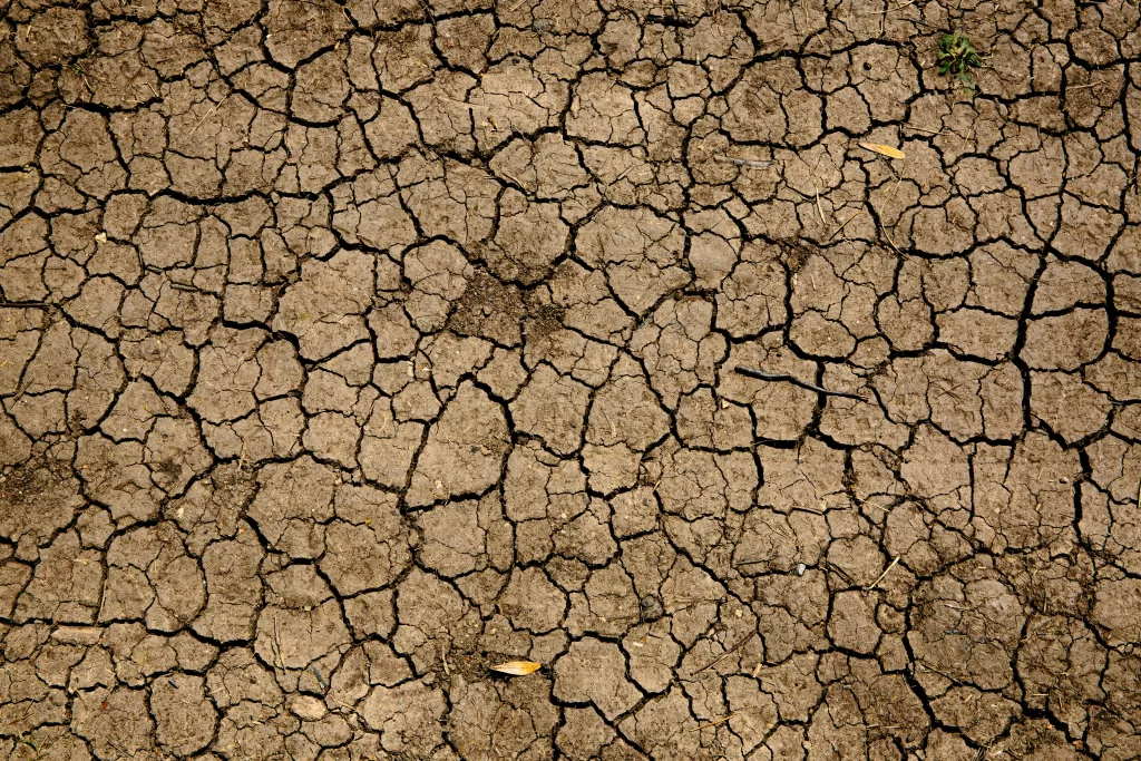Close-up of dry, cracked soil in a drought-affected area, symbolizing climate-induced water scarcity and environmental degradation.