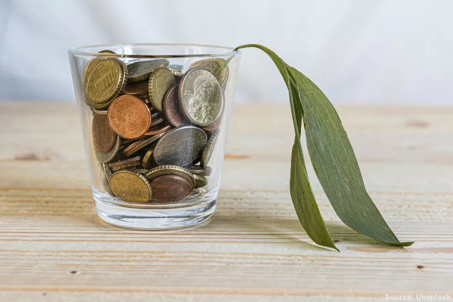 Cup of money with dead plant