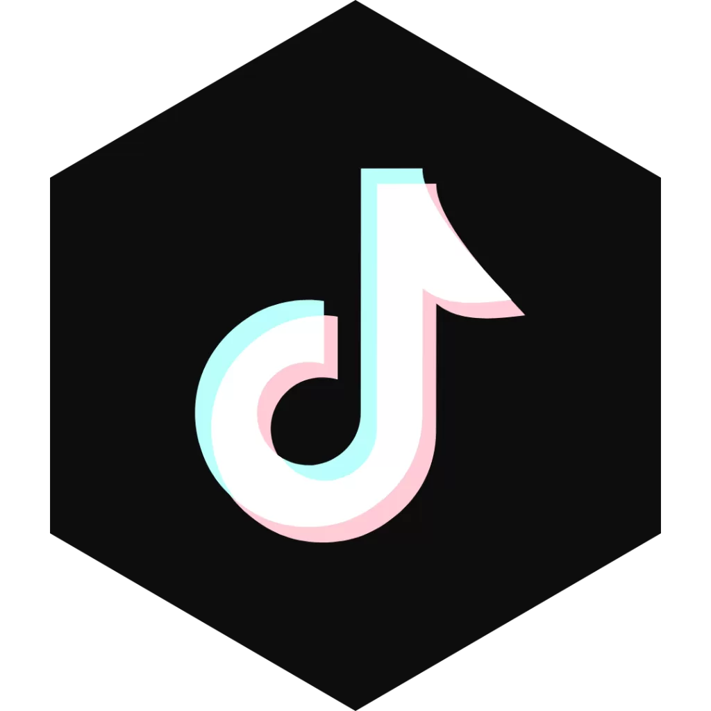 TikTok icon