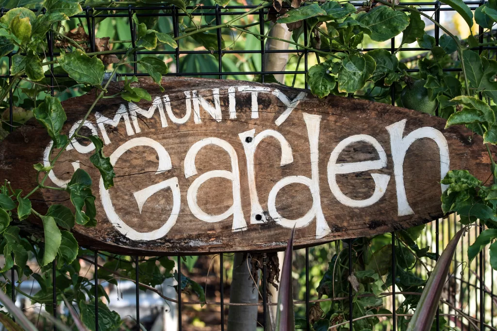 Wooden sign reading “Community Garden” in white letters, hanging on a wire fence with green vines growing around it.