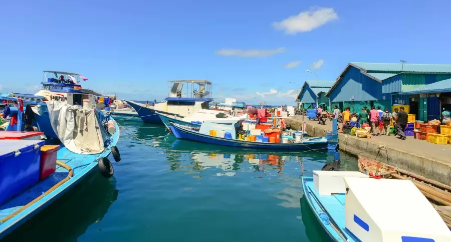 Coastal fishing communities thrive on the ocean.