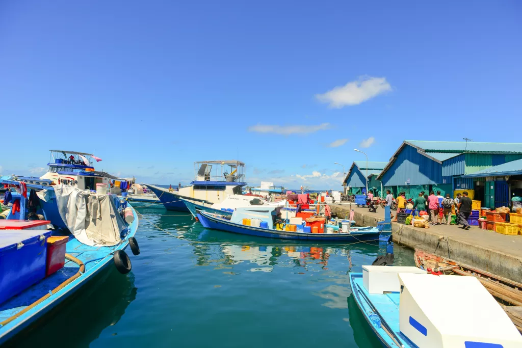 Image showing a coastal community.