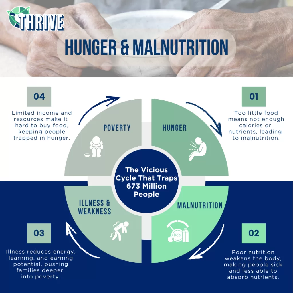 How hunger, malnutrition, and poverty are interconnected (1)